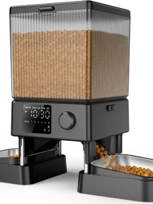 Automatic Cat Feeder for 2 Cats