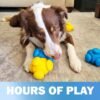 Interactive Dog Puzzle Set