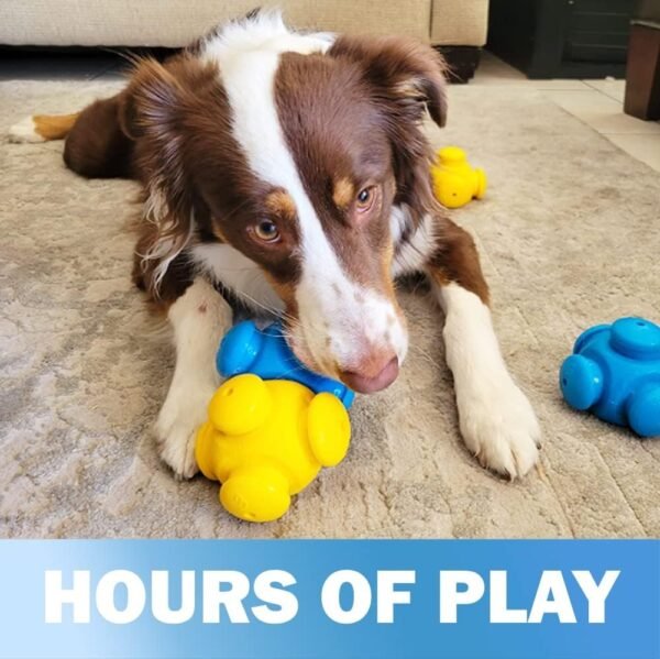 Interactive Dog Puzzle Set