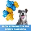 Interactive Dog Puzzle Set