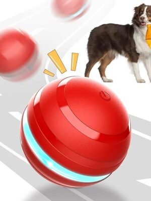 Interactive Dog Toy Ball