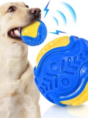 Squeaky Dog Ball Toy