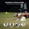 Automatic Dog Ball Launcher