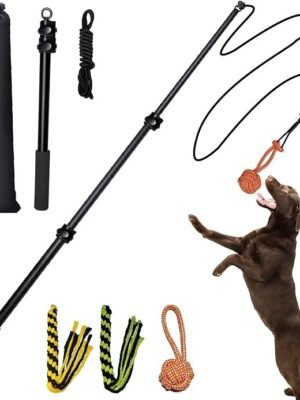 Heavy-Duty 40-Inch Extendable Flirt Pole for Dogs
