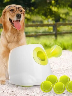 Automatic Dog Ball Launcher