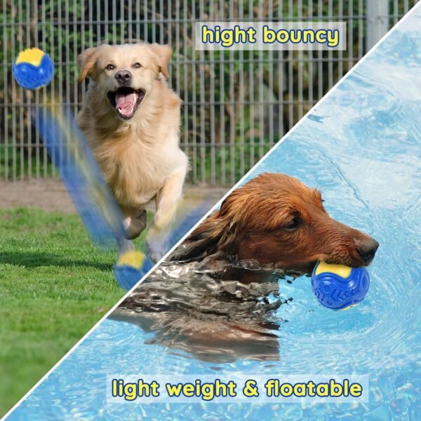 Squeaky Dog Ball Toy
