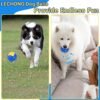 Squeaky Dog Ball Toy